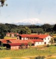 Azienda Agricola Ca'Nova - 2000